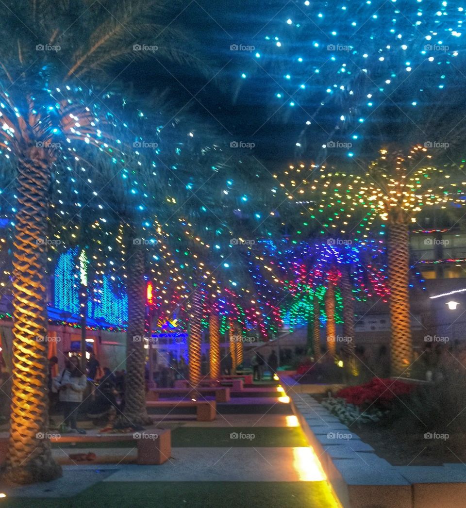 Holiday lights
