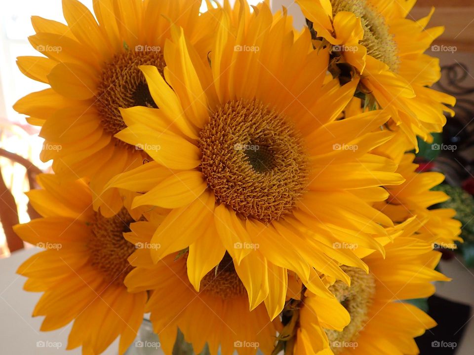 Cheery bright yellow bouquet of sunflowers