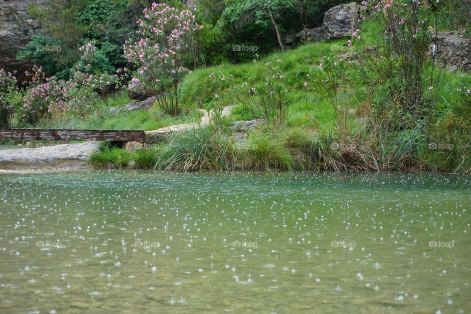 Lake#rain#water#nature