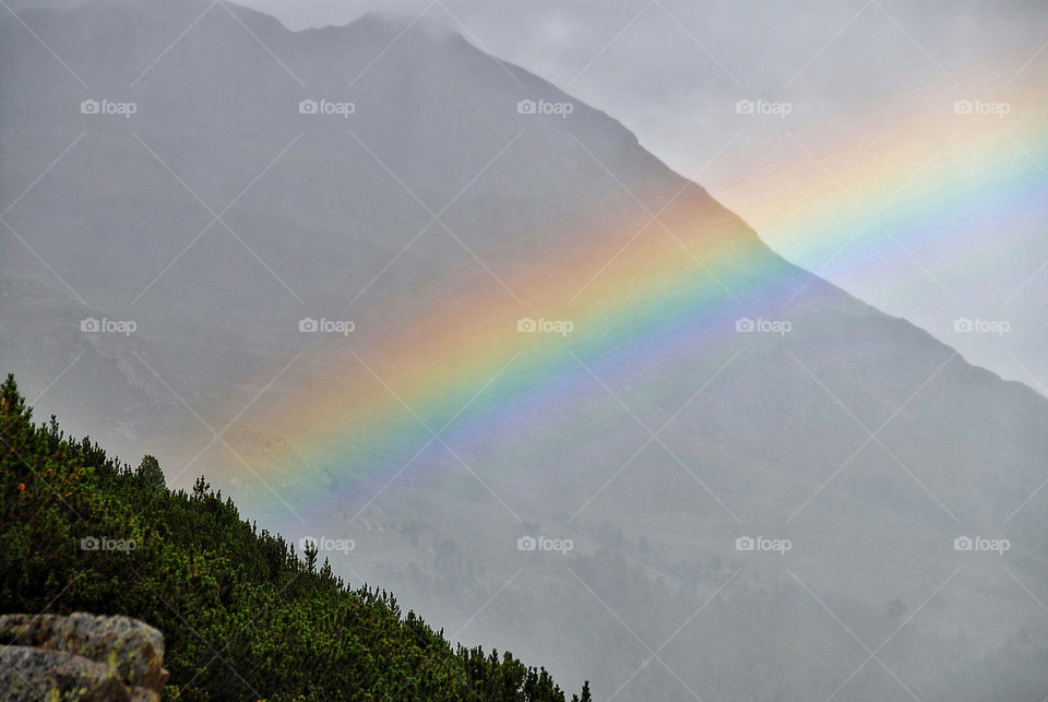 mountain trees rainbow mist by lguarini