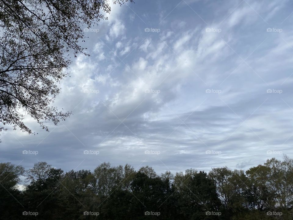 December 1 2023 it is 72 degrees a nice warm day 