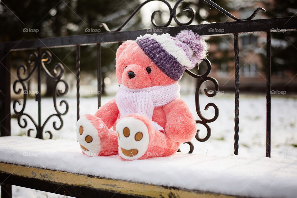 bear on a snowy bench