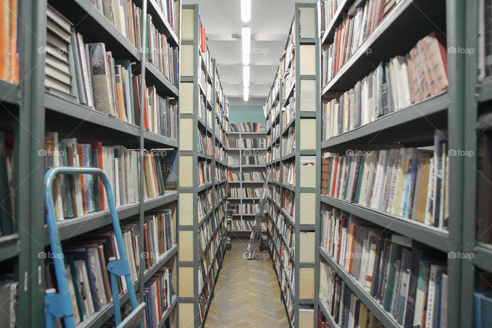 shelves with books