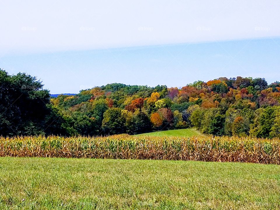 Driving the Back Roads and enjoying everything around us