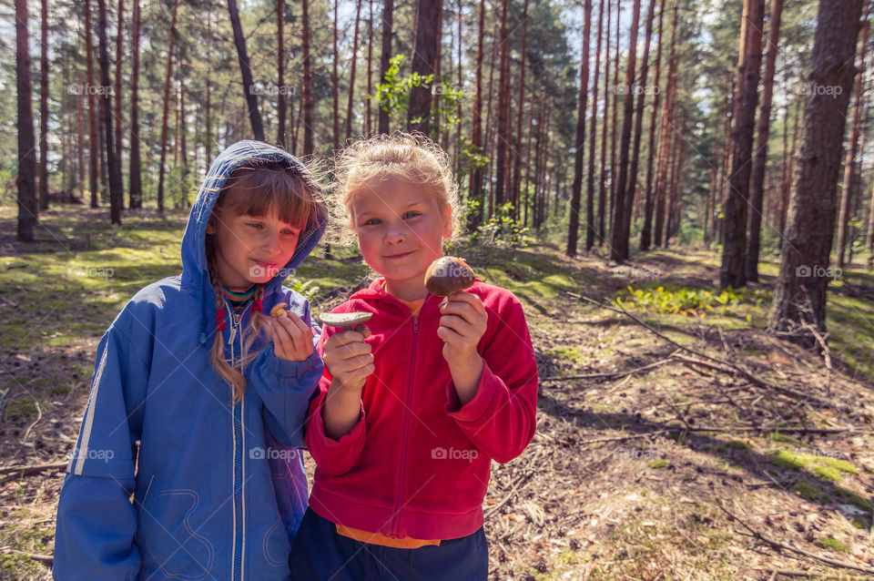 Kids finding mushrooms in the forest