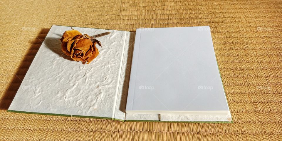 open notebook and dried flower on tatami floor