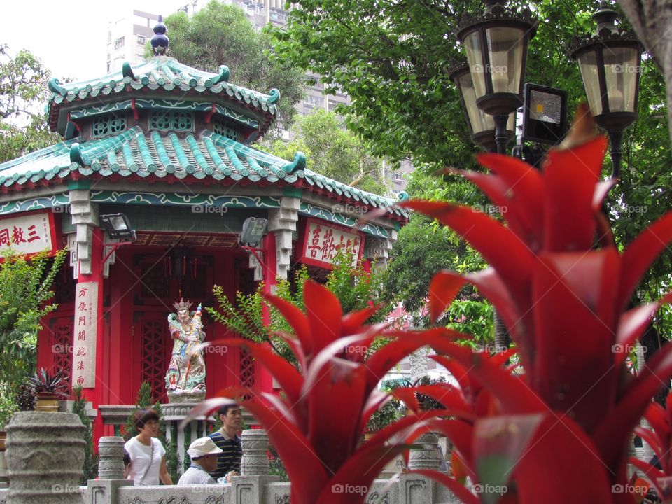 China temple flower zen 