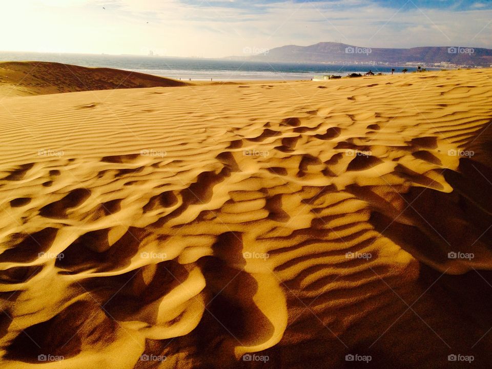 A desert in sunset. Sunset in the desert 