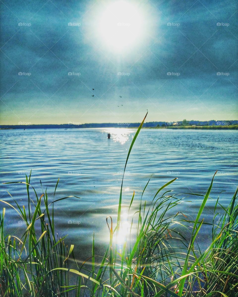 lake at the sun