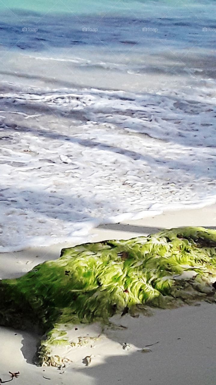 silt stone on the shore