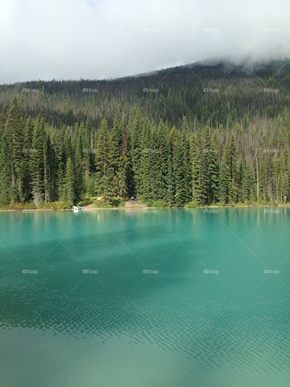 Lake view in Field 