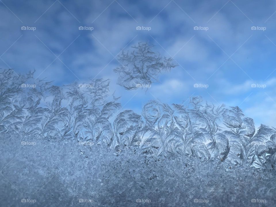 Frosty window 