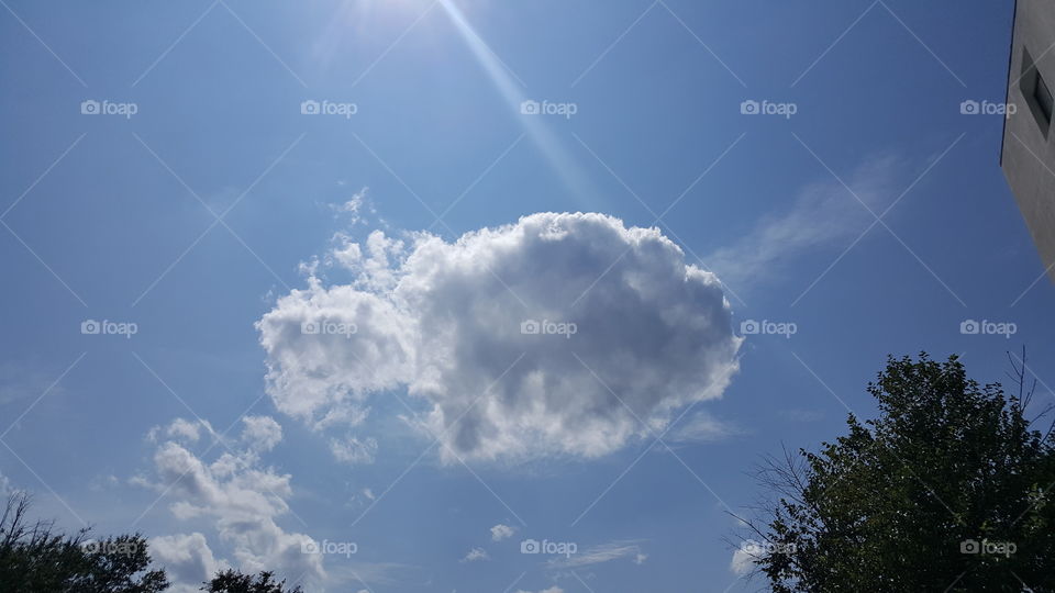 Spotlight from above