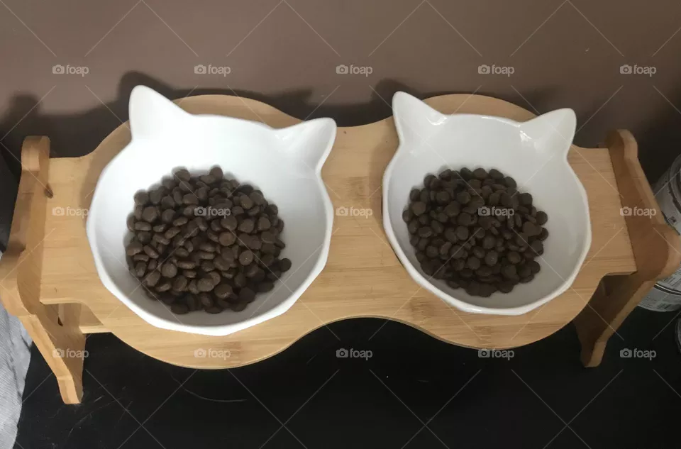 Cat meals 