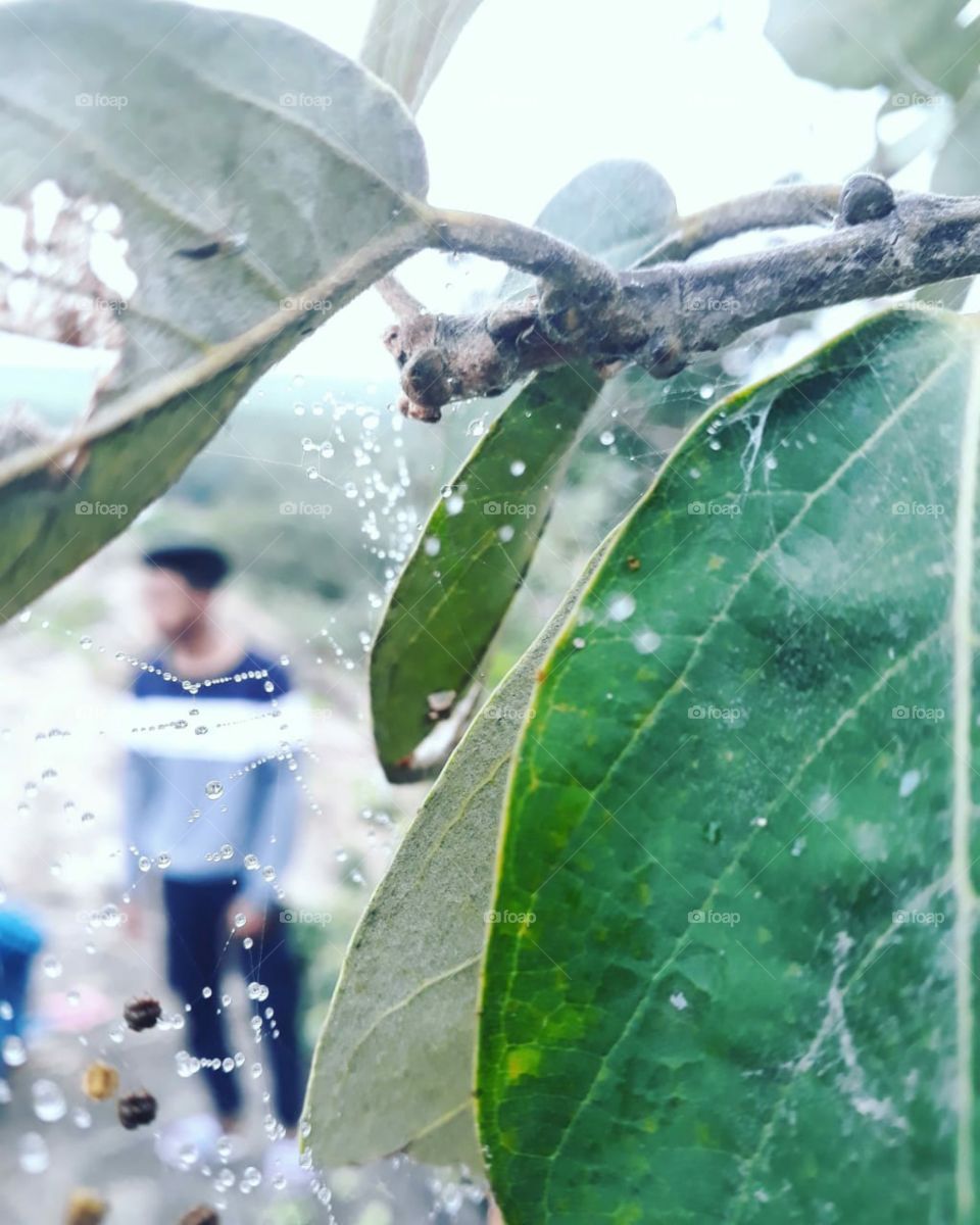 beautiful environment amazing click