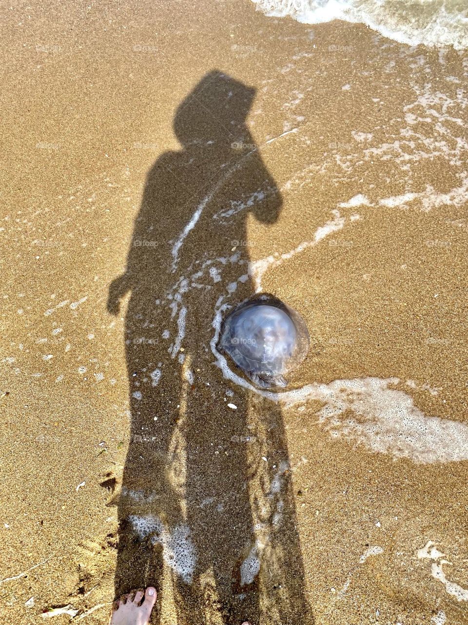 photos of the sea and the beach
