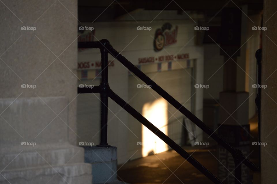 Brutus... ❤️🏈