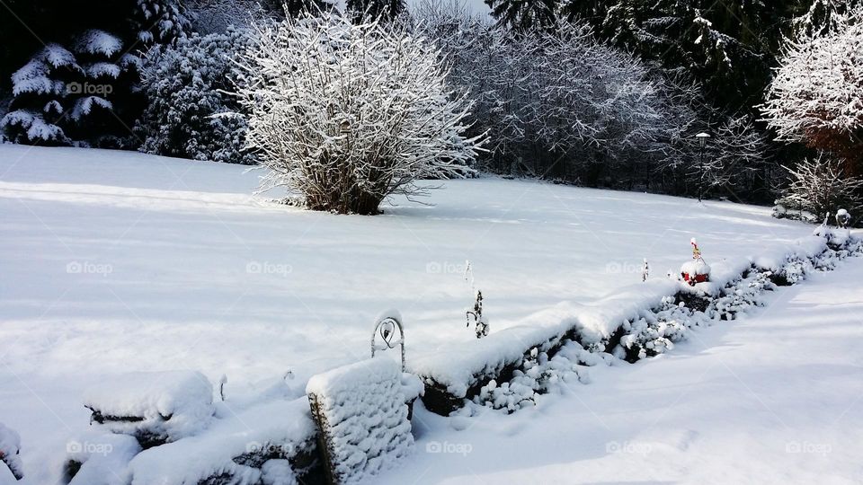 winter snowy landscape