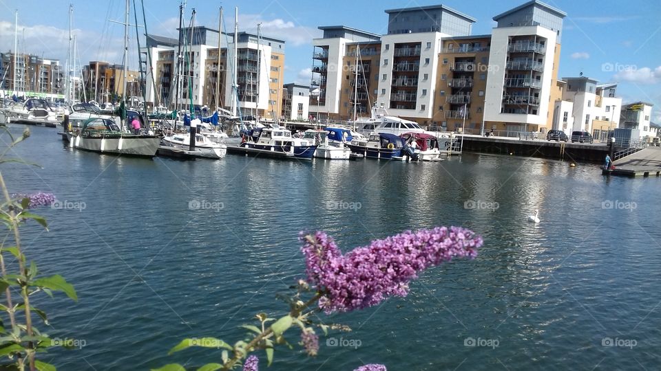 portishead marina