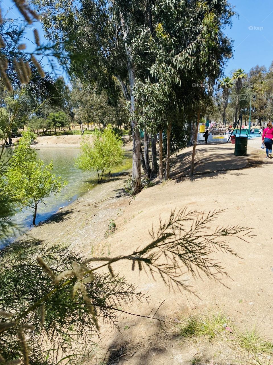 friendship park trail