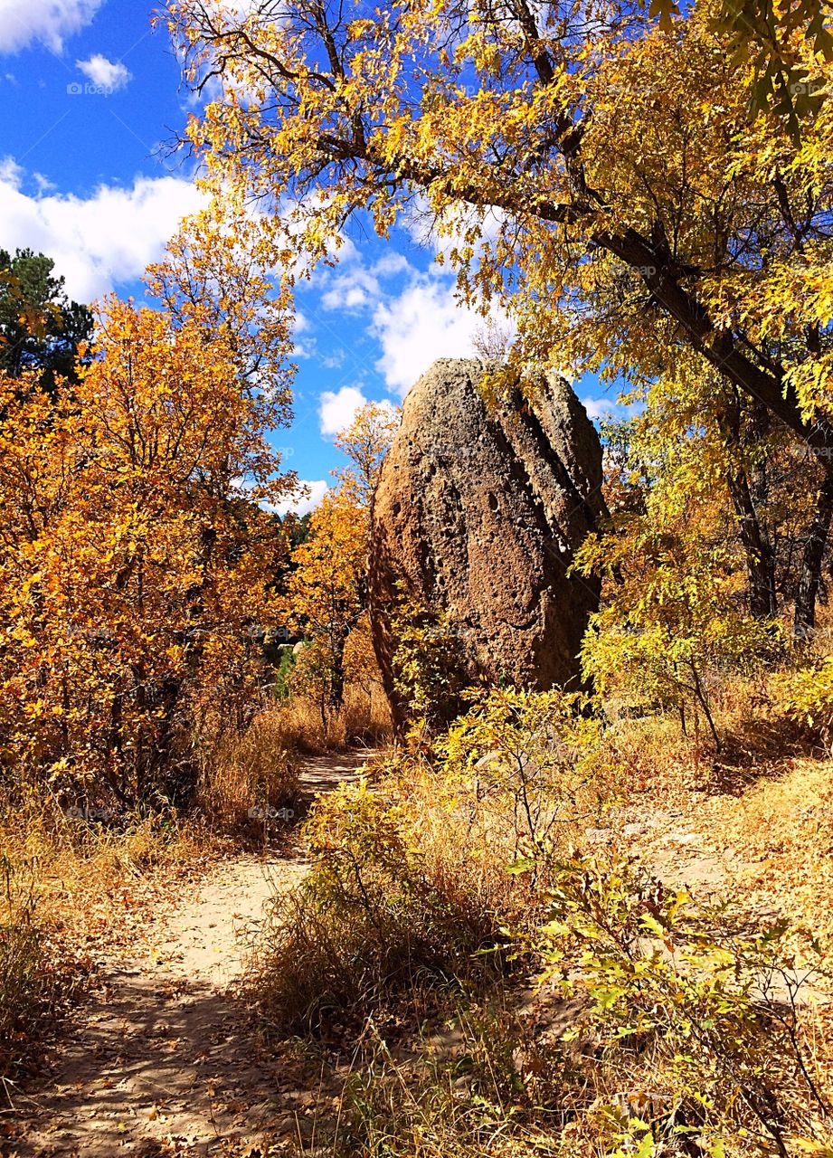 Autumn in Colorado