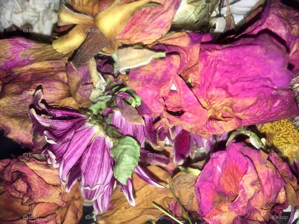 Rather than throwing dead flowers away, I am trying out making pot pourri, using orris root powder as a fixative and scents of essential oils and spices.
