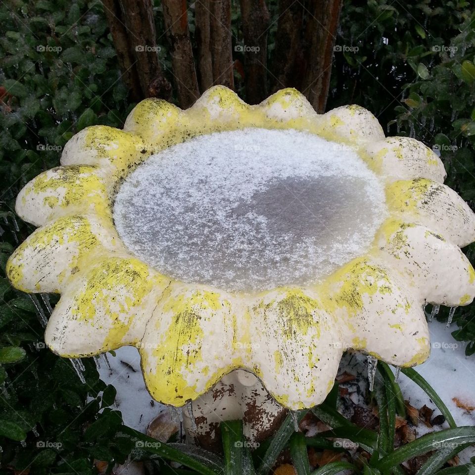 Ice cold bird bath