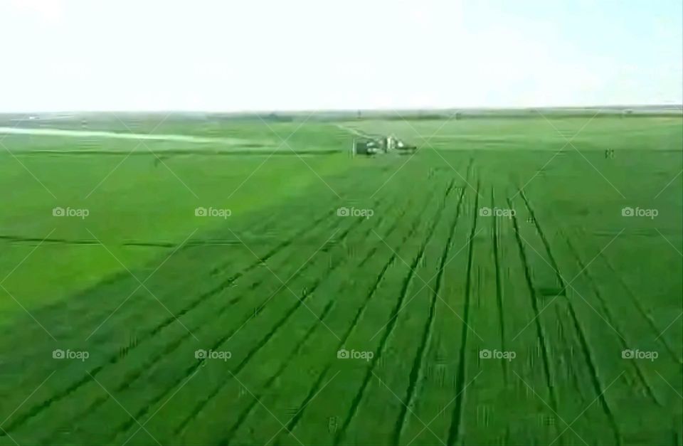 A very beautiful picture, and there is no better picture than it. There is no better picture of green herbs and colorful, red and white roses than it. Glory be to God, the natural and picturesque view, and there is no more