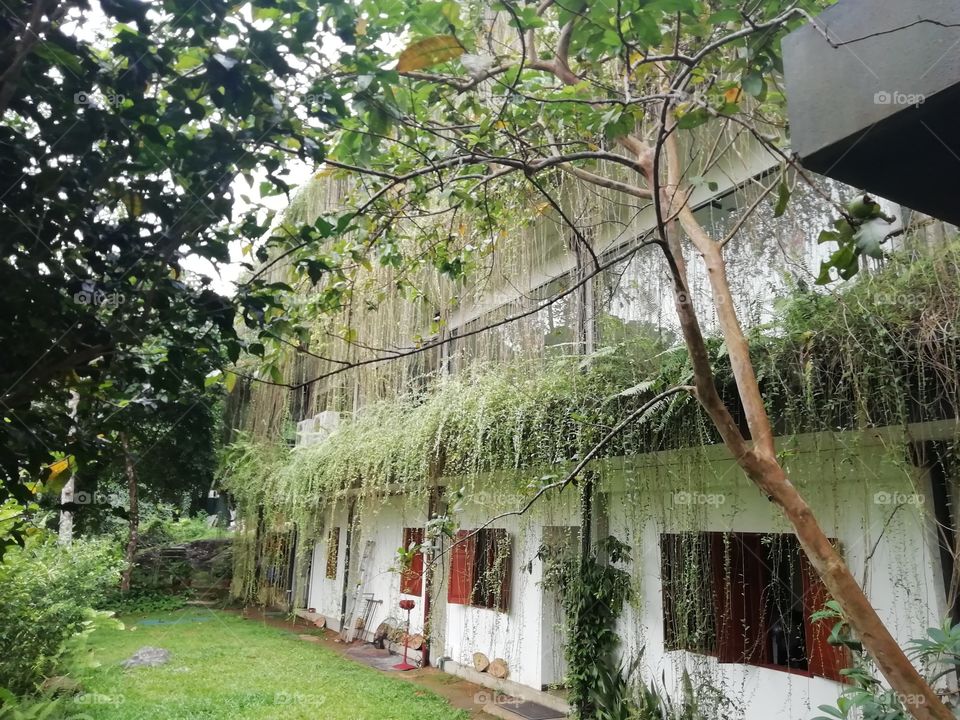 A beautiful hideout embraced by nature