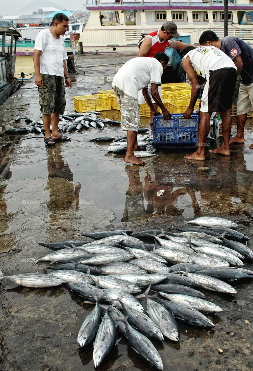 people market fish