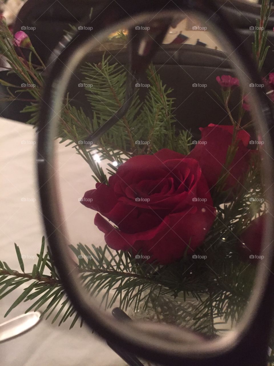 Red rose eyeglass frame