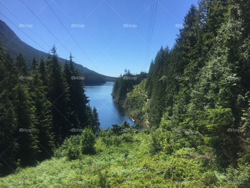 Lakeview Trail at Buntzen Lake