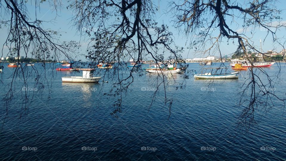 Barquinhos e sua matéria prima