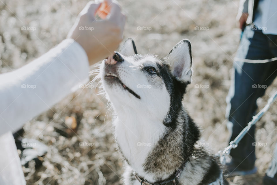 Give me my treat!