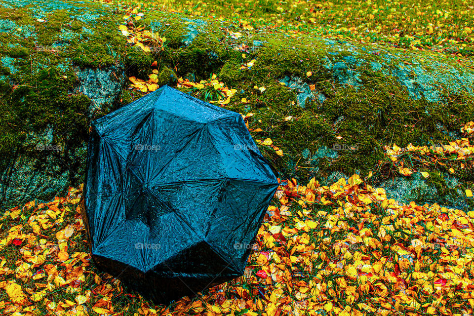 Broken umbrella left in the rain