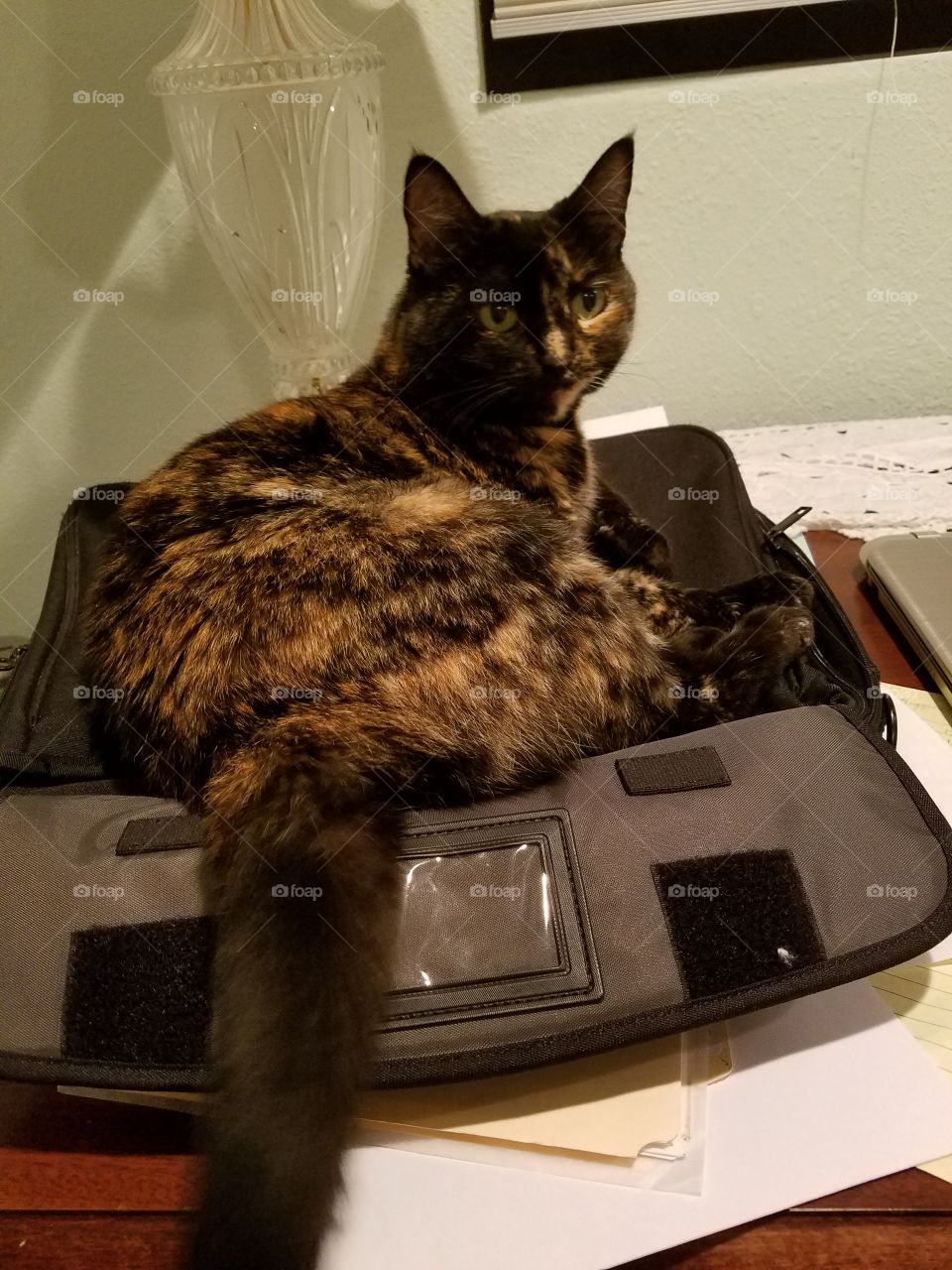 where do you think your going?