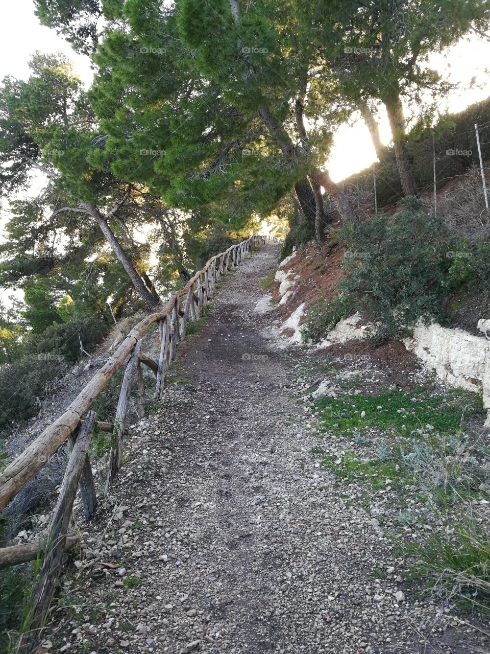 A path along the sea