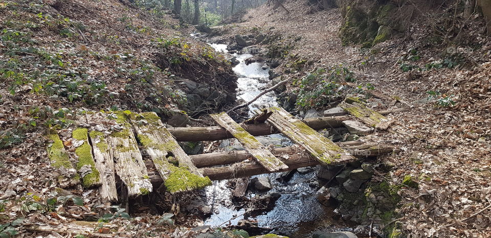 Destroyed bridge over a stream