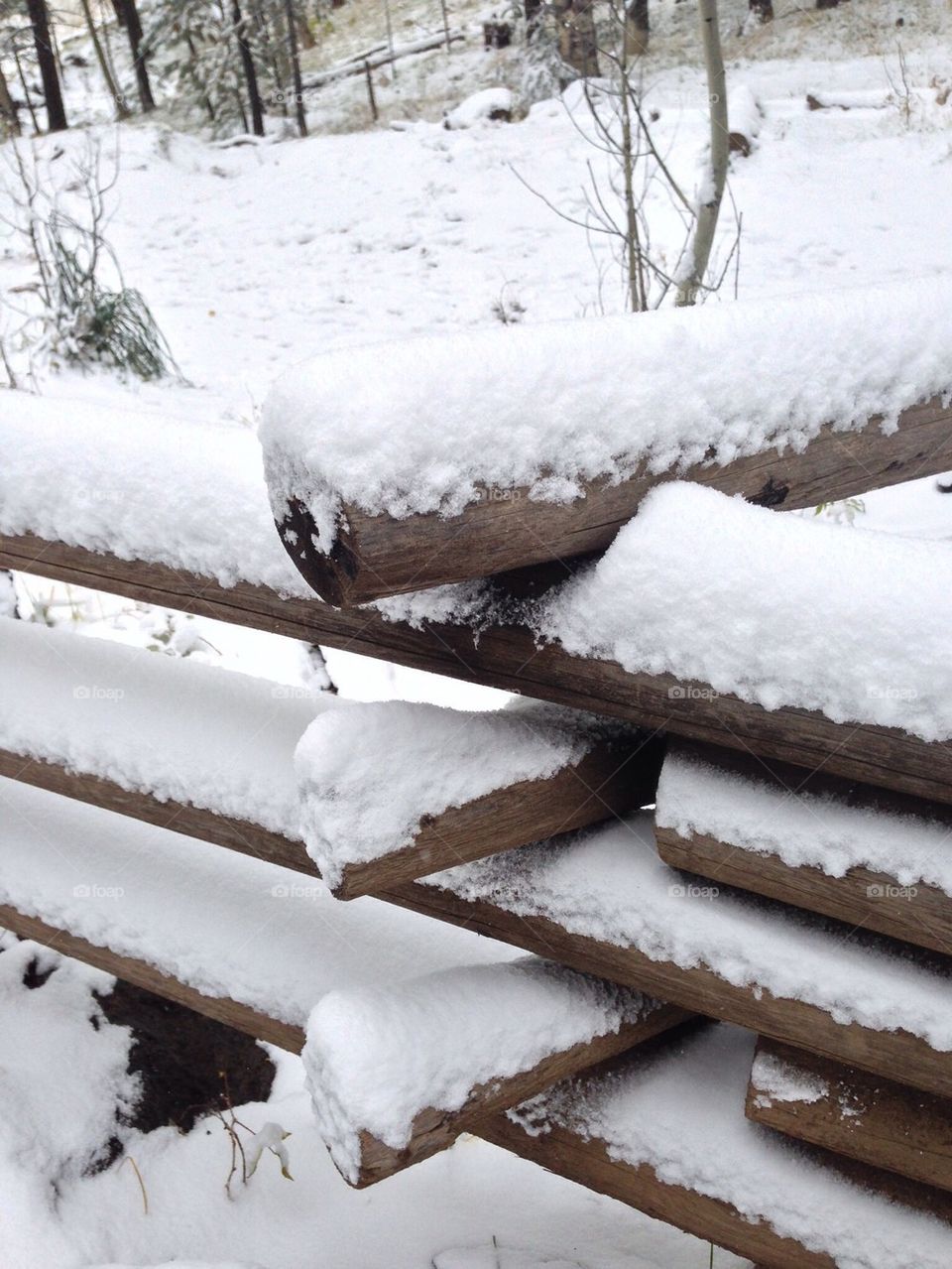 Snow fence trail