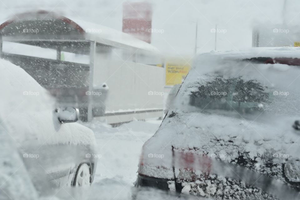 Snow, Winter, Cold, Weather, Frost