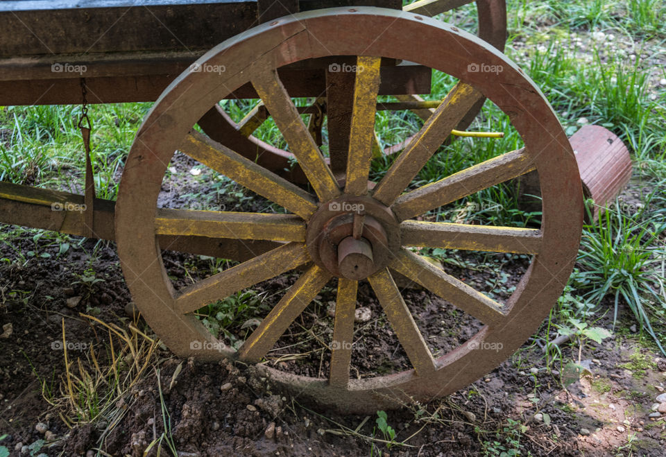 Wooden wheel