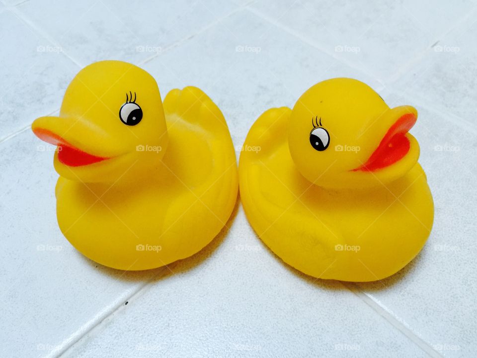 My ducks