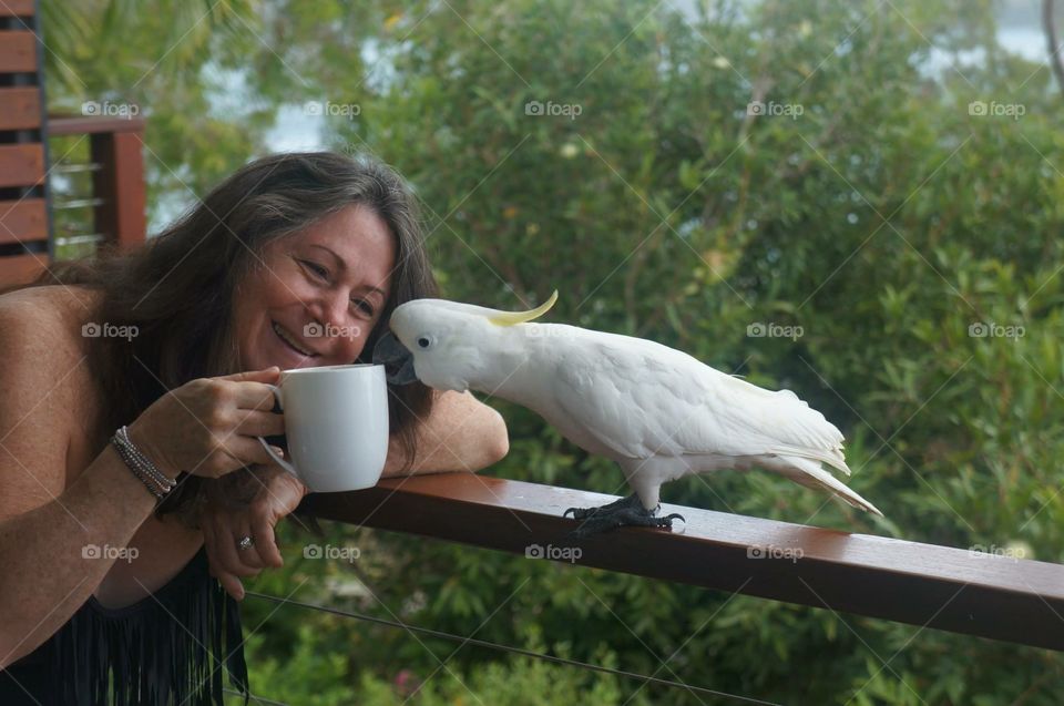Cockatoos and Coffee