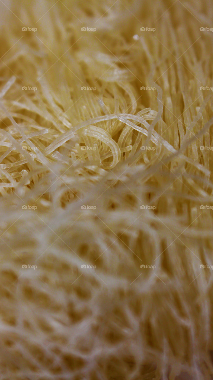 This is a macro photograph of Chinese noodles. they look like strange worms that intertwine among them