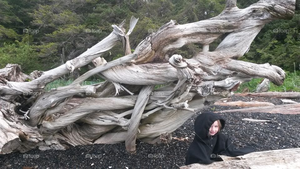 Small girl in hoodie standing near driftwood