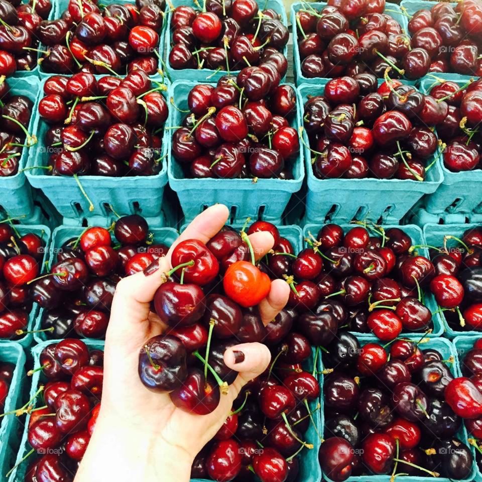 A hand of cherries