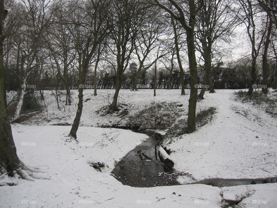 Winter, Snow, Tree, Landscape, People