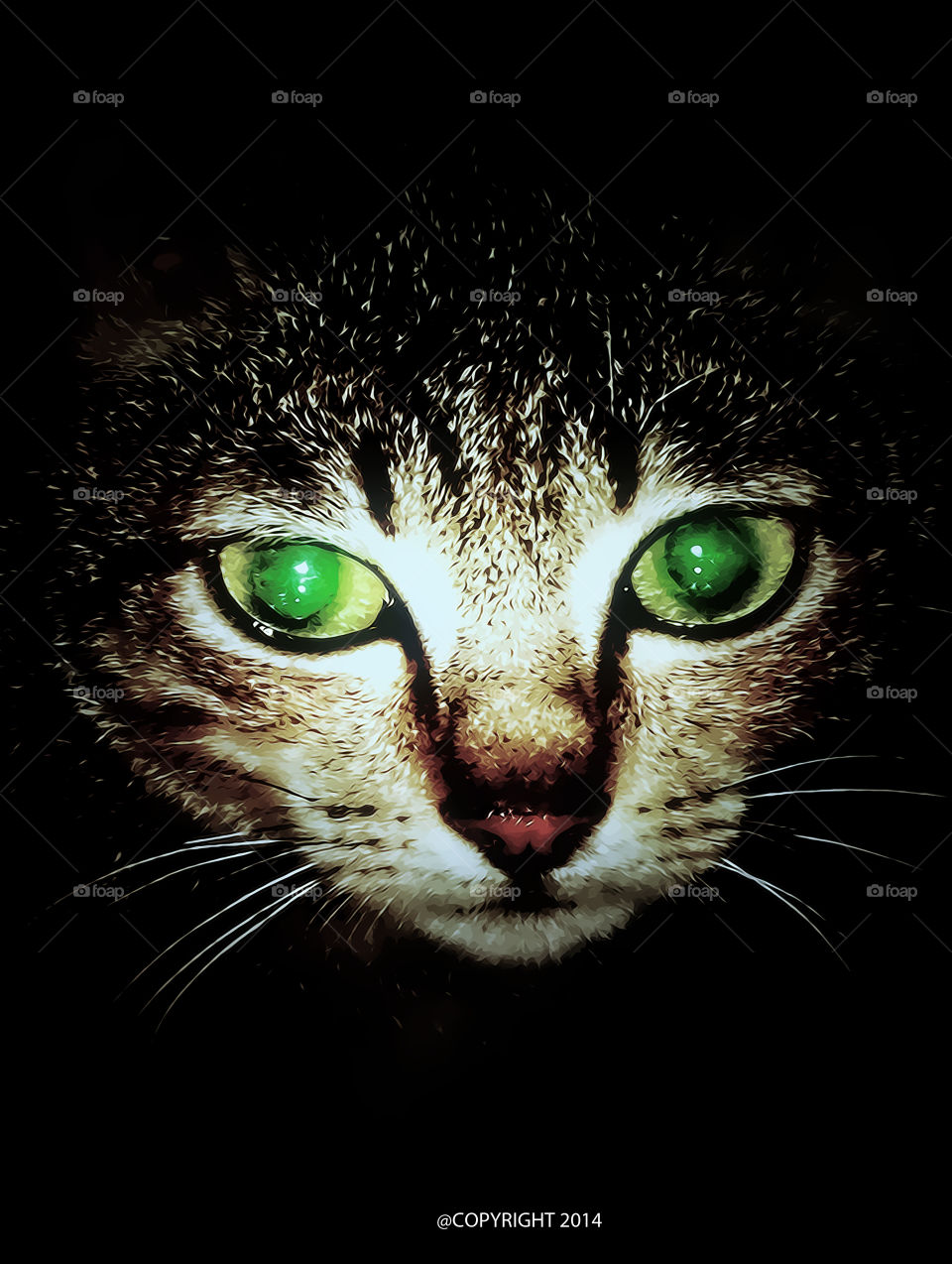cat. cat green eye 