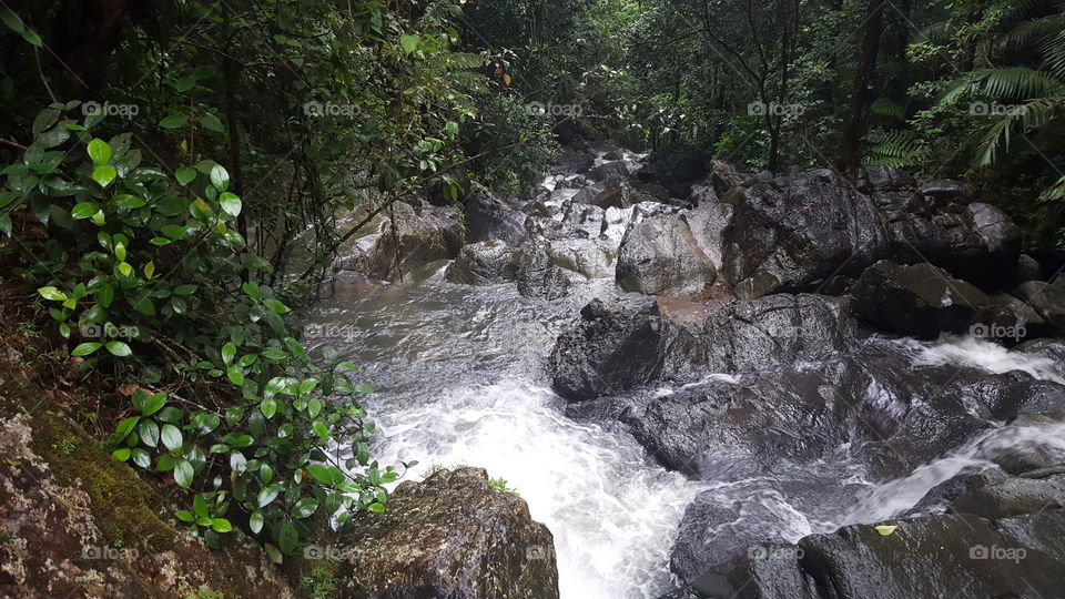 Water, Waterfall, River, Stream, Nature