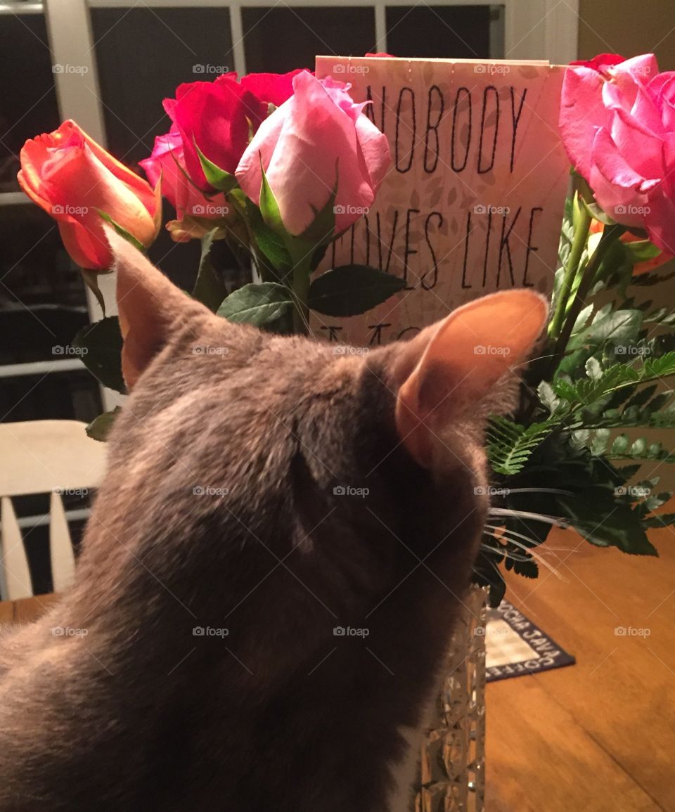 Admiring the flowers 